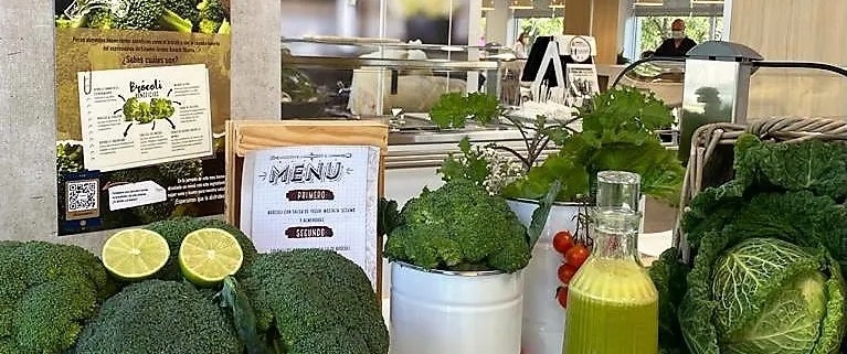 Medirest, referentes-en-gastronomia-hospitalaria