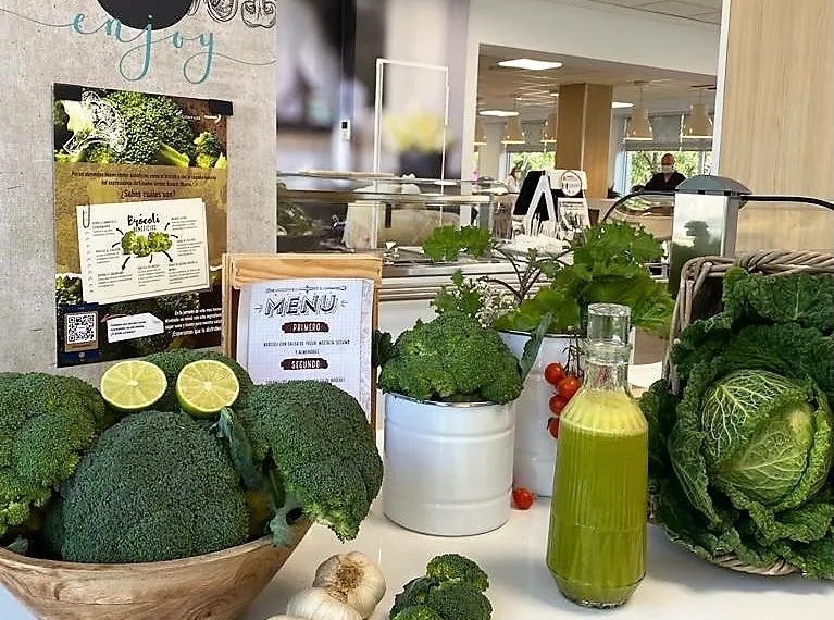 Medirest, referentes-en-gastronomia-hospitalaria