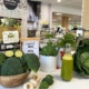 Medirest, referentes-en-gastronomia-hospitalaria